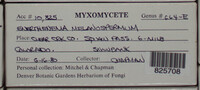 Image Associated With the Occurence